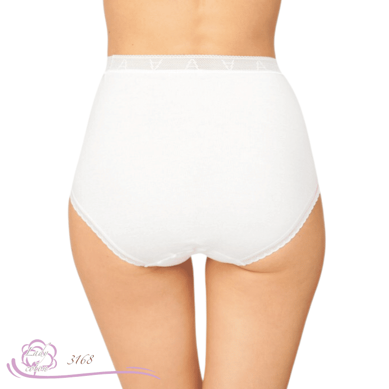 culotte dentelle haute coton blanc dos - culotte AVET - Lady-coton