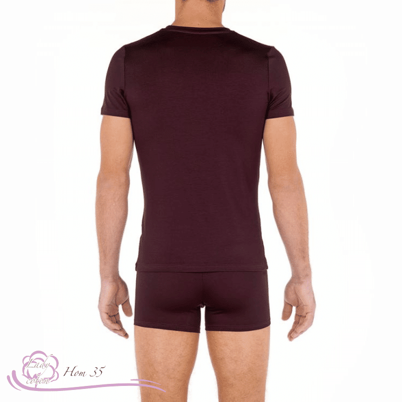 Tee-shirt eucalyptus pour homme marque HOM couleur bordeaux dos - Lady-coton