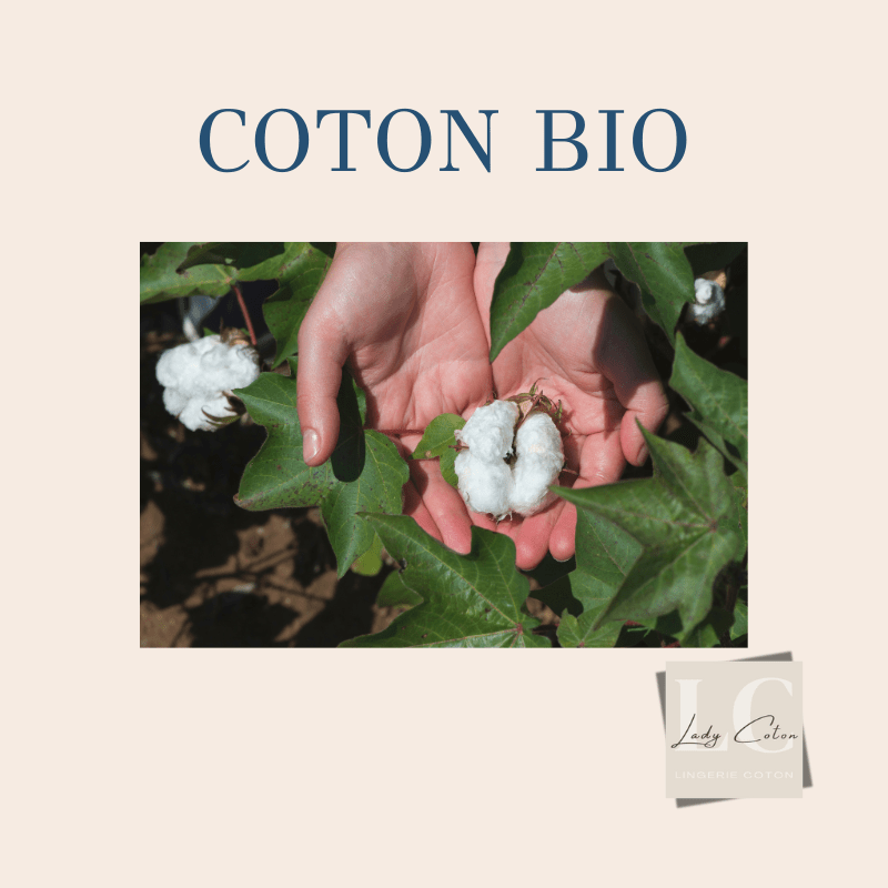lingerie-coton-biologique-par-lady-coton