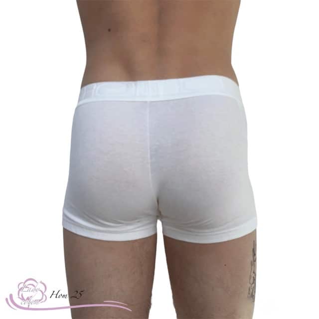 Le boxer HOM HO1 vue de dos