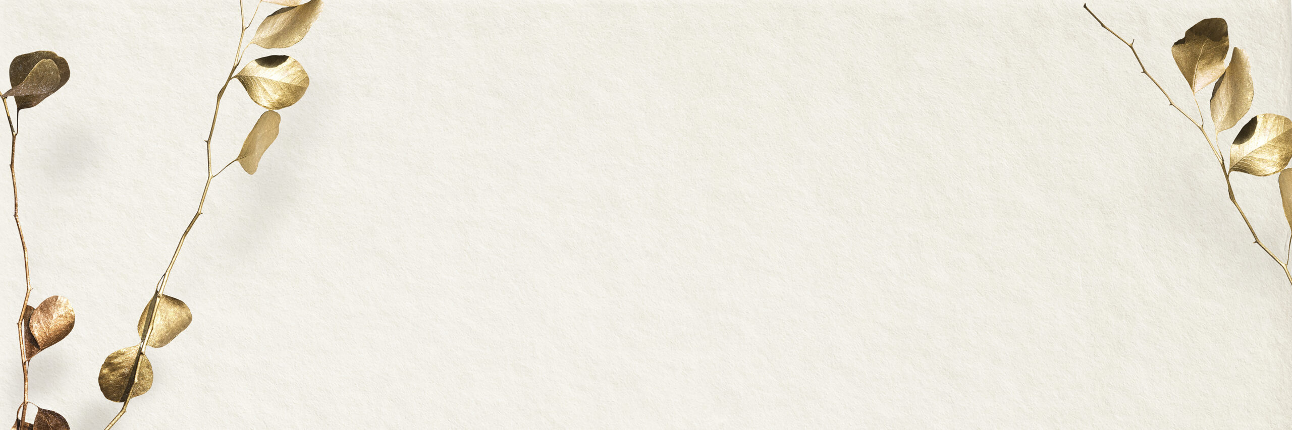 image slider de la page d'accueil lady coton