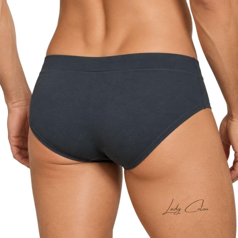 Slip homme gris ZD en coton bio, vue de dos avec coupe couvrante