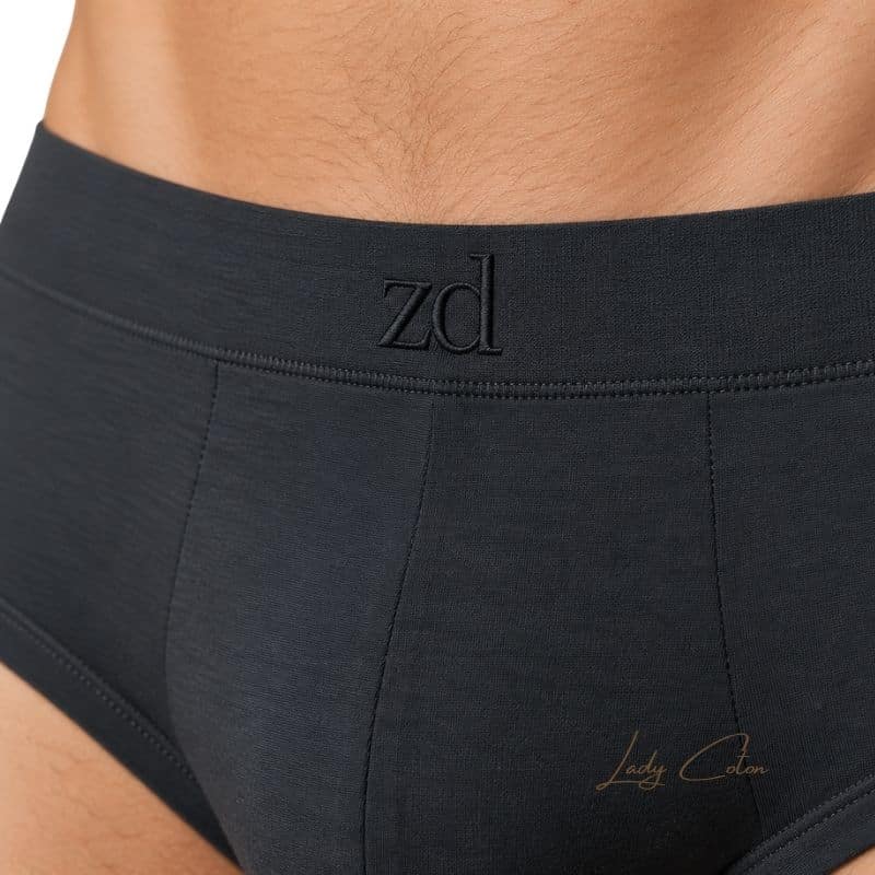 Détail de la ceinture élastique d'un slip homme ZD en coton bio gris
